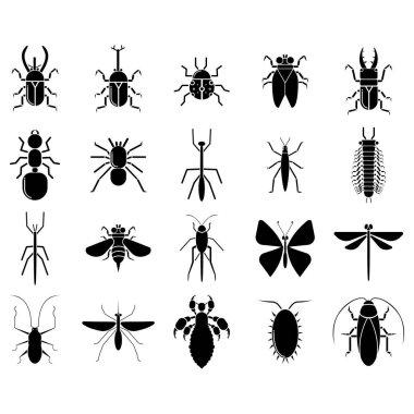 Böceklerin siyah siluetleri