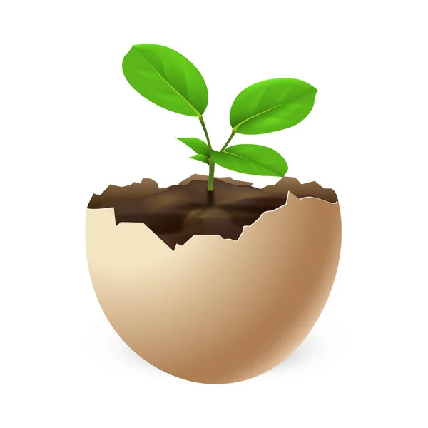 Egg Soil Green Plant — Stock Vector