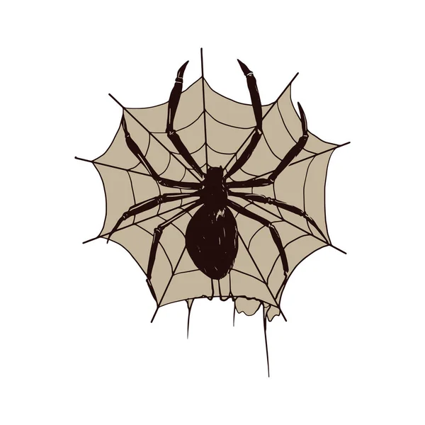 Halloween Araña Web Vector Ilustración — Vector de stock