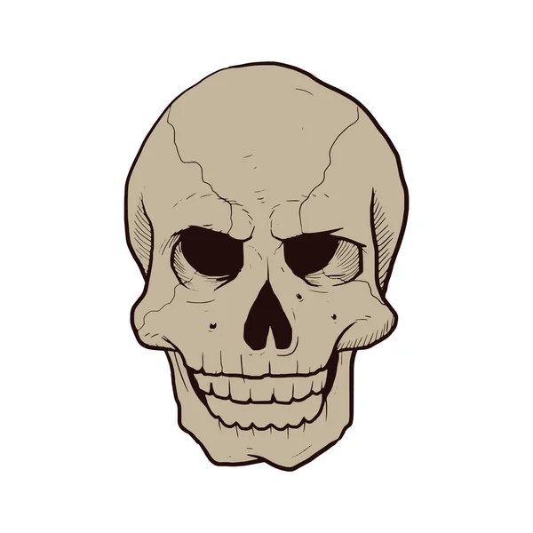 Twórczy Wektor Ilustracji Scull — Wektor stockowy