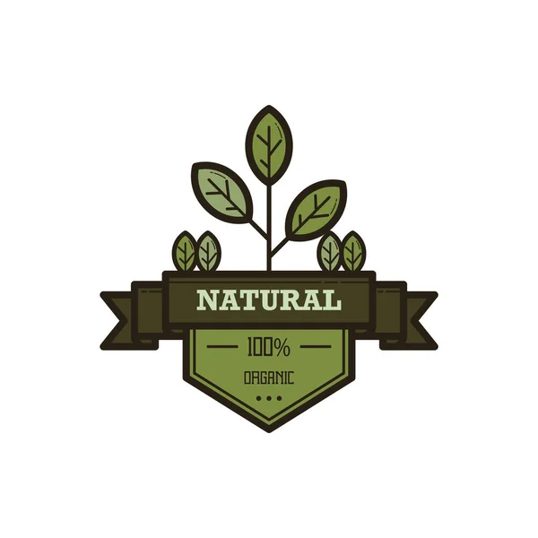 Logo Vectoriel Pour Les Aliments Boissons Biologiques — Image vectorielle