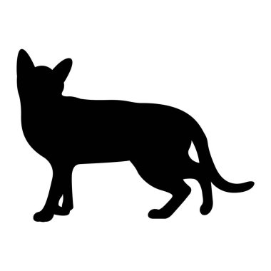 Siyah bir kedi silueti.