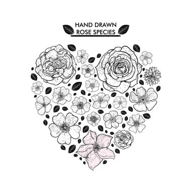 Çiçek simgesi vektör illüstrasyonu