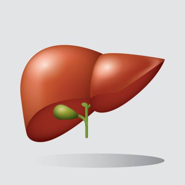 Kırmızı bir çiçeğin vektör illüstrasyonu
