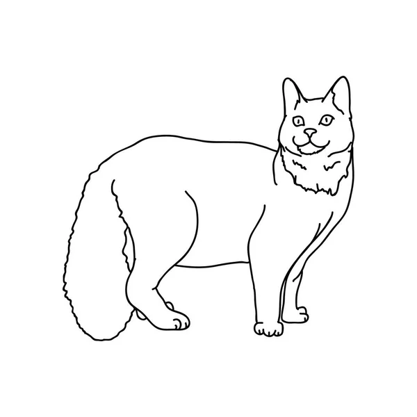 Vektor Illustration Söt Katt — Stock vektor