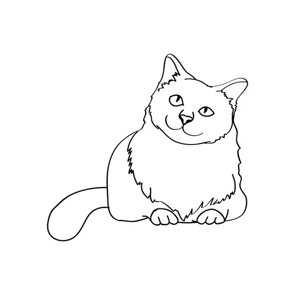 Cute Cat Black White Line Vector Illustration — Stock Vector