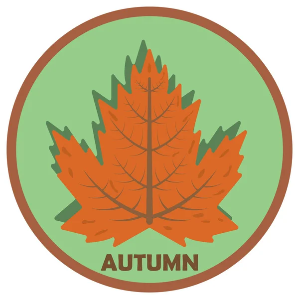 Vector Illustration Maple Leaf — Stock Vector
