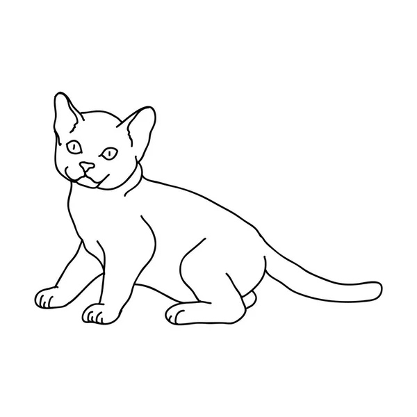 Ilustración Vectorial Blanco Negro Del Gato — Vector de stock