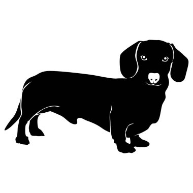 Bir köpeğin silueti.