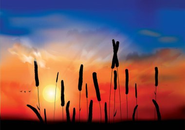 Vektör illüstrasyonu, simge ögesi arkaplanı