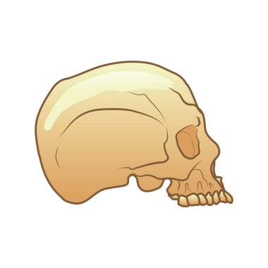 Vektör illüstrasyonu, simge ögesi arkaplanı