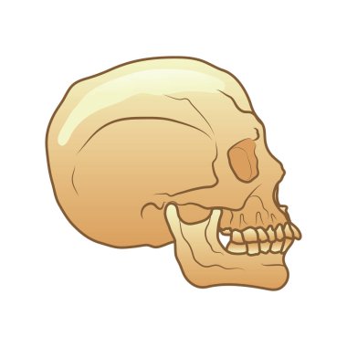 Vektör illüstrasyonu, simge ögesi arkaplanı