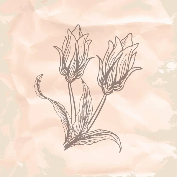 Floral Fond Illustration Vectorielle — Image vectorielle