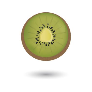 Basit kivi vektör illüstrasyonu