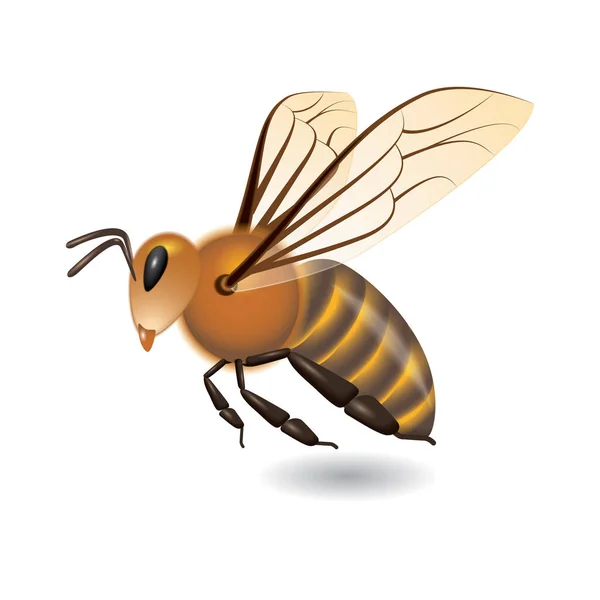 Méh Ikon Vektor Illusztráció — Stock Vector