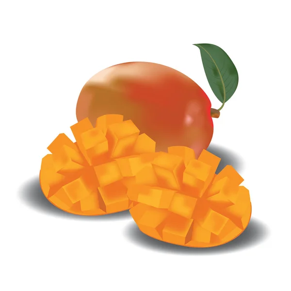 Mango Ilustración Simple Vector Color — Vector de stock