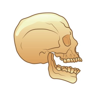 Vektör illüstrasyonu, renk ögesi arkaplanı