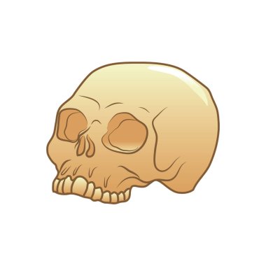 Vektör illüstrasyonu, renk ögesi arkaplanı