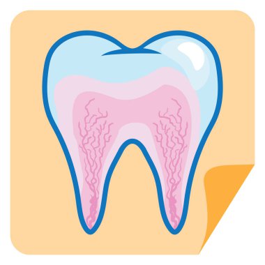 vektör çizimi, diş, diş hekimi 