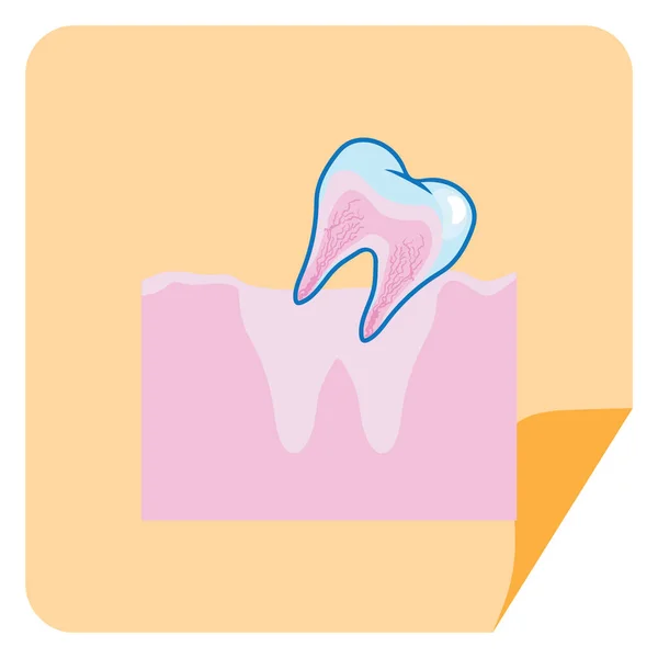 Ilustración Vectorial Diente Medicina Dental — Archivo Imágenes Vectoriales