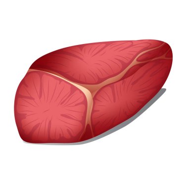 Vektör illüstrasyonu, simge ögesi arkaplanı