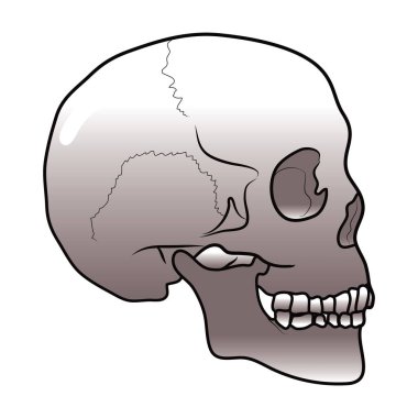 Vektör illüstrasyonu, simge ögesi arkaplanı