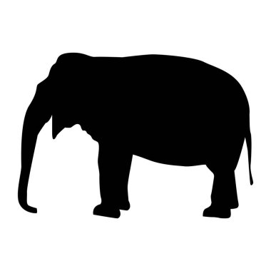 Basit grafik simgesi vektör illüstrasyonu 