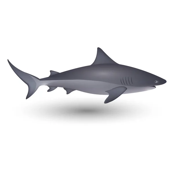 Fisch Vektor Illustration Icon Element Hintergrund — Stockvektor