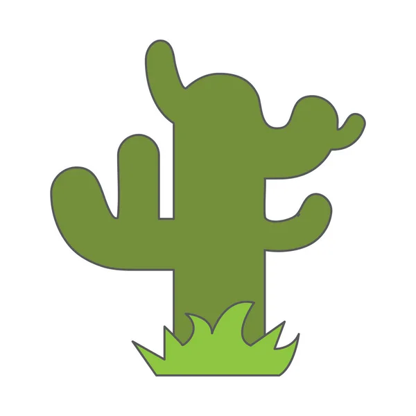 Moderne Grafische Vector Illustratie Van Cactussen — Stockvector