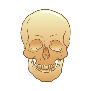 Vektör illüstrasyonu, simge ögesi arkaplanı