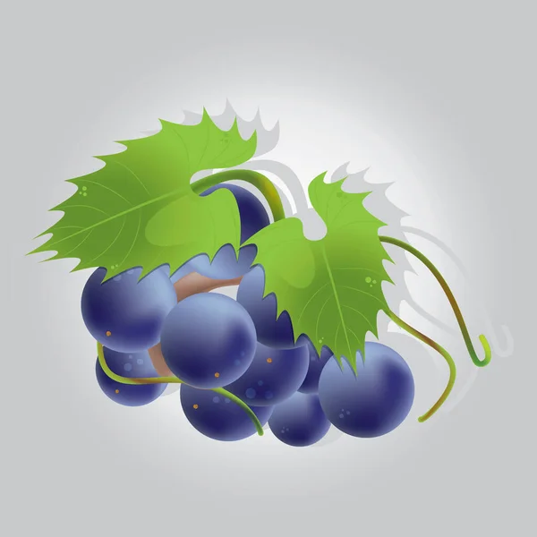 Vector Creativo Ilustración Uvas — Vector de stock