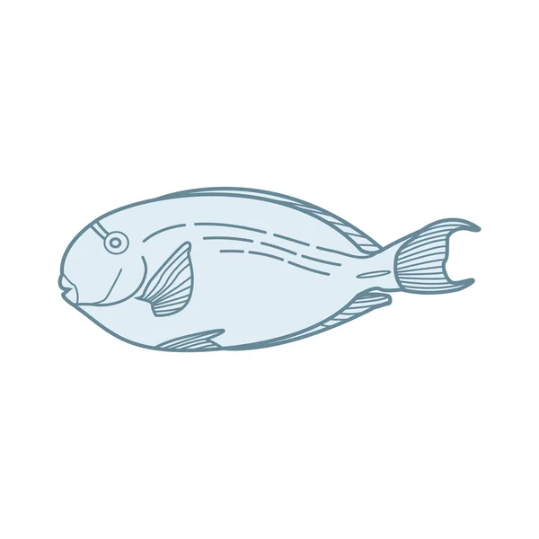 Fisch Vektor Illustration Icon Element Hintergrund — Stockvektor