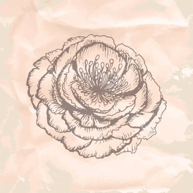 Vektör illüstrasyonu, simge ögesi arkaplanı