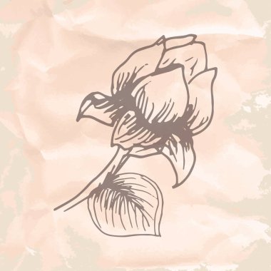 Vektör illüstrasyonu, simge ögesi arkaplanı