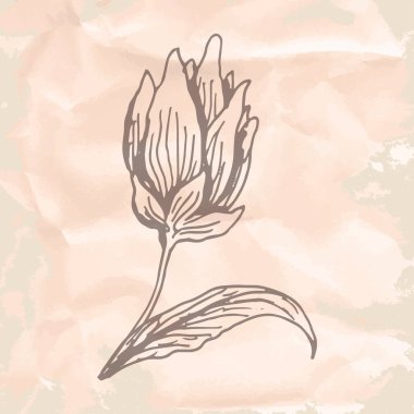 Vektör illüstrasyonu, simge ögesi arkaplanı