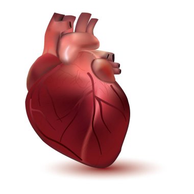 Basit grafik simgesi vektör illüstrasyonu