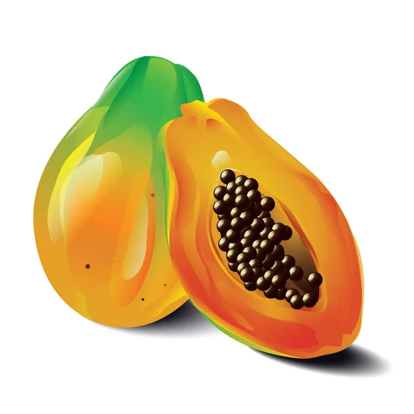 Icono Gráfico Moderno Vector Ilustración Papaya — Vector de stock