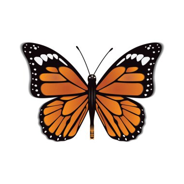 Basit simge vektör illüstrasyonu 