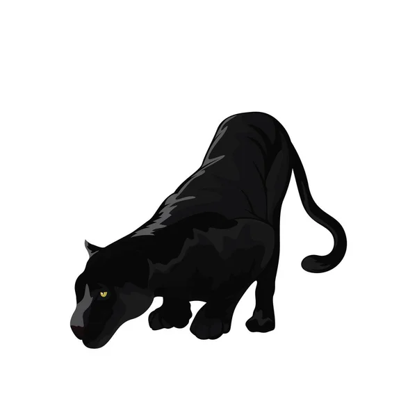 Panther Vektorová Ilustrace Ikona Prvek Pozadí — Stockový vektor