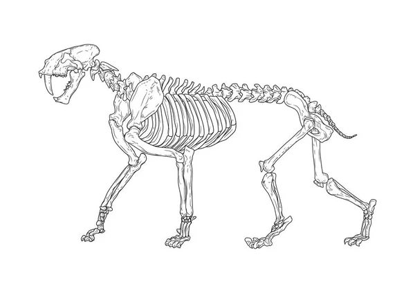 Illustrazione Vettoriale Elemento Icona Sfondo — Vettoriale Stock