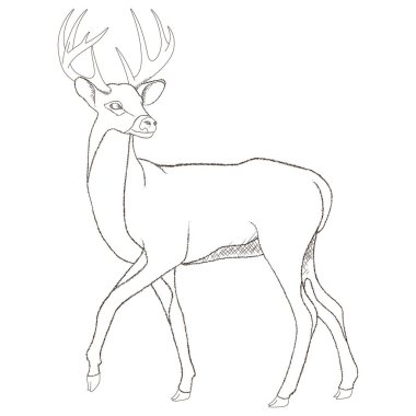 modern grafik simgesi vektör illüstrasyonu 