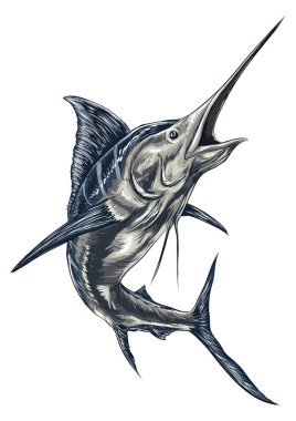 balık vektör illüstrasyonu, simge element arkaplanı