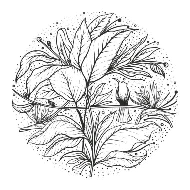 modern grafik simgesi vektör illüstrasyonu