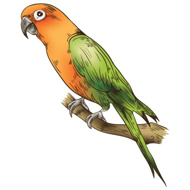 Vektör illüstrasyonu, simge ögesi arkaplanı