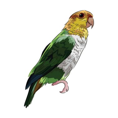 Vektör illüstrasyonu, simge ögesi arkaplanı