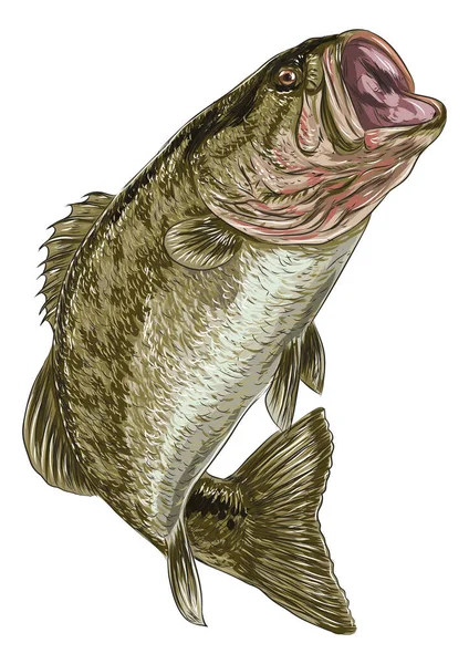 Illustration Vectorielle Poisson Fond Élément Icône — Image vectorielle