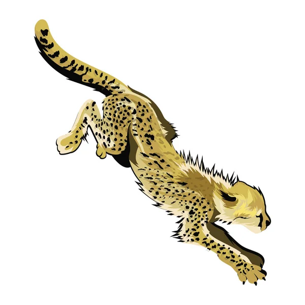 Cheetah Vector Illustration Icon Element Background — Stock Vector
