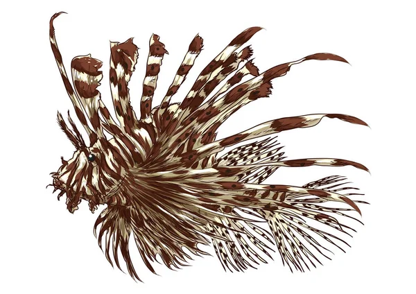 Векторная Иллюстрация Рыбы Фон Элемента Иконки — стоковый вектор