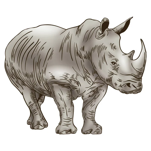 Illustration Vectorielle Rhino Fond Élément Icône — Image vectorielle