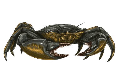 Vektör illüstrasyonu, simge ögesi arkaplanı